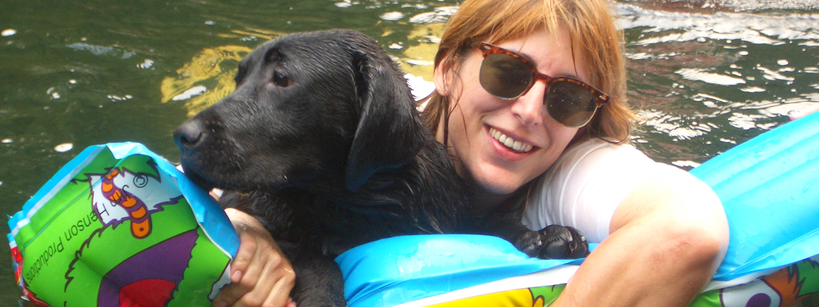 ラベンダーヒルズラブラドールレトリーバー